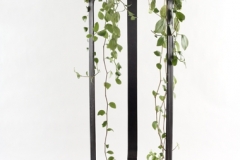 71-deco_plantstand_plume_with_plant-800x600