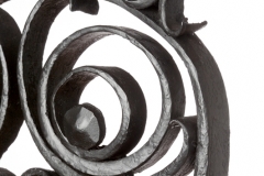 75-owl_detail_left_eye-800x600