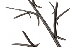 77-tree2_w-bird_detail_branches-800x600