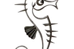 79-seahorse-800x600